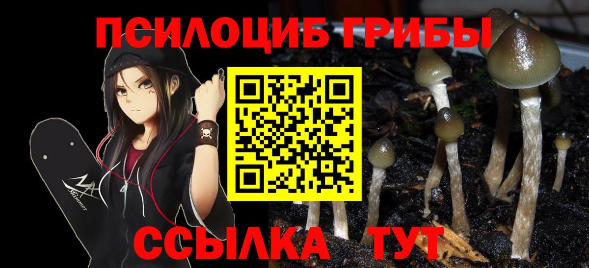 Псилоцибиновые грибы Cubensis Краснотурьинск